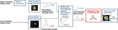 Direct Comparison of Bayesian and Fermi Deconvolution Approaches for Myocardial Blood Flow Quantification: In silico and Clinical Validations